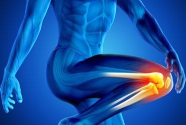 630-3D_Knee_Pain_580