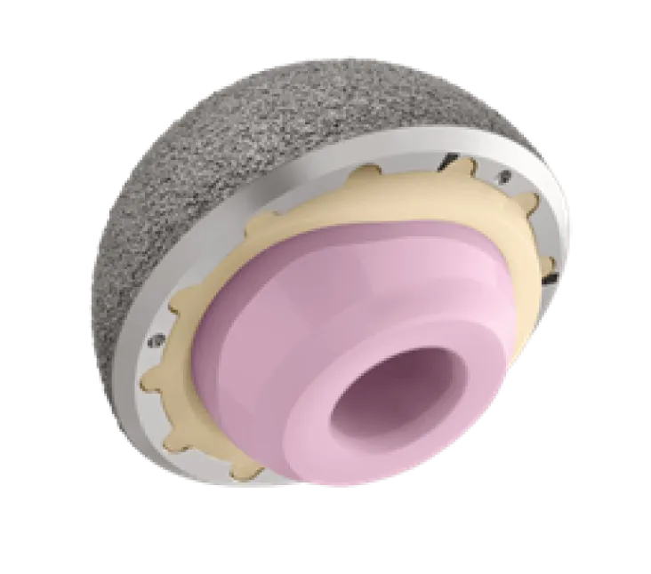 cementless_cup_image