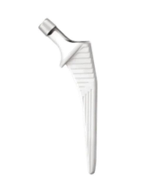 stem_image